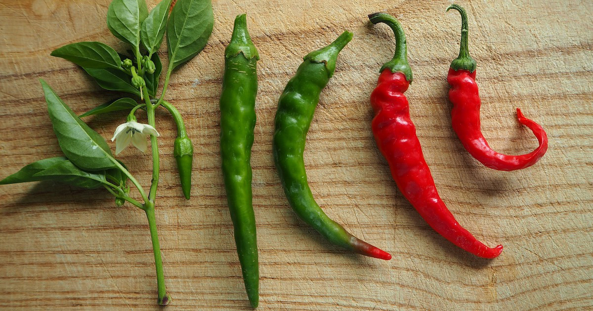 Red Chili: A Natural Way to Boost Your Metabolism and Energy Levels